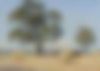 Haystacks (preview)