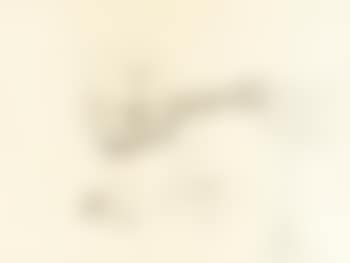Untitled Illustration of a Four-Eyed Guitar Player (preview)