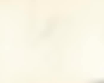 Untitled Illustration of a kissing Couple (preview)
