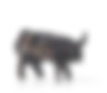 Taureau (preview)