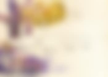 Oh Dear Sheep from 'Bernice's Sheep' (preview)