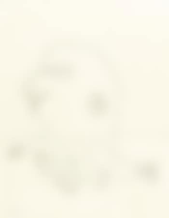 Untitled Illustration of a Four-Handed Creature (preview)
