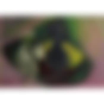 Untitled (preview)