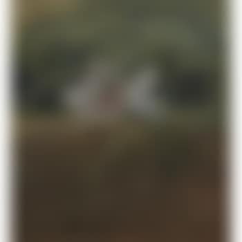 Breeze (preview)