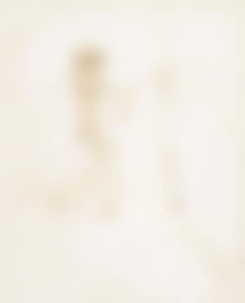 Der Maler bei der Arbeit (preview)