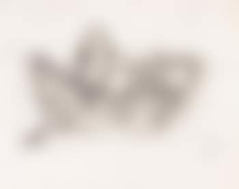 Männliche Aktstudie mit hinter dem Kopf verschränkten Händen (preview)