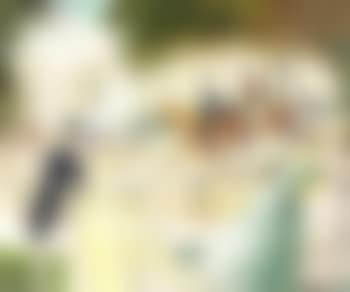 Afternoon Promenade (preview)