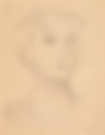 Selbstportrait (preview)