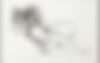 Monica nude with Matisse (preview)