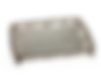 Historical silver tray (preview)