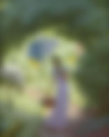 La cueillette des roses (preview)