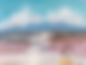Figure and landscape (preview)