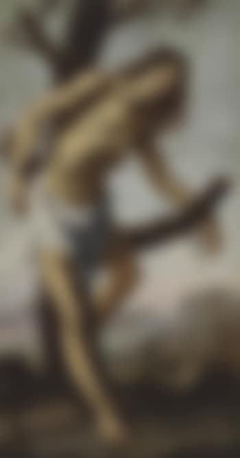 The Martyrdom of Saint Sebastian (preview)