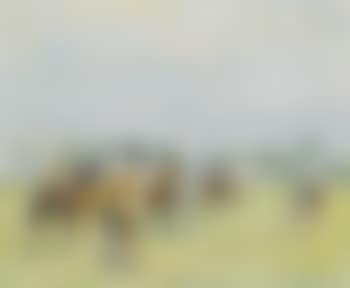 Trotting up, Badminton (preview)