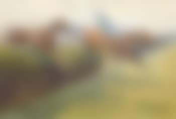 Eremon's National, the final turn (preview)