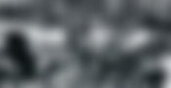 Sans Titre (preview)