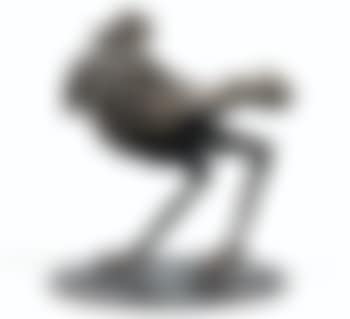 Pigeon (preview)