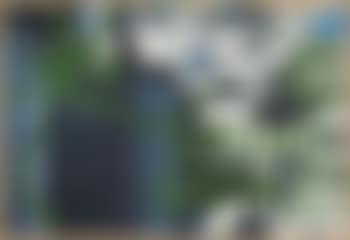 Grune (preview)
