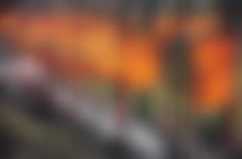 The gates, Central Park, New York (preview)