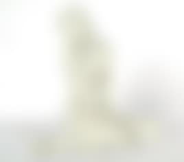 [Untitled] (preview)