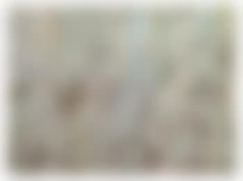 83F-6 (preview)