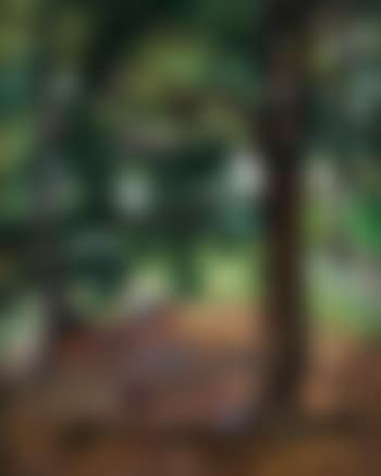 Trees in a Landscape (preview)