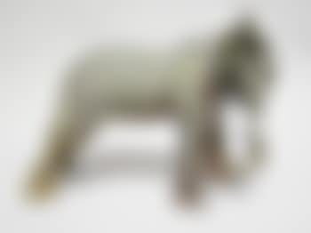 Elephant (preview)