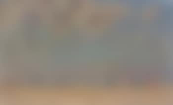 Le matin sur la plage (preview)