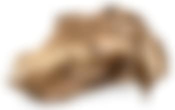 Magnetic evidence (preview)