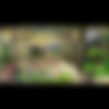 Landscape window (preview)