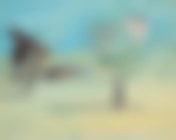 Dust Storm (preview)