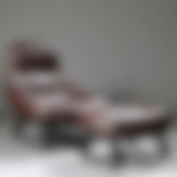 Earth Chair and Ottoman (preview)