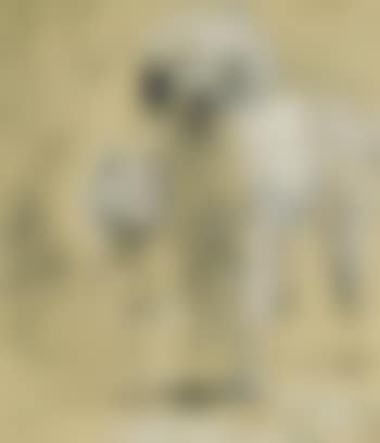 Tristram and Fox (preview)