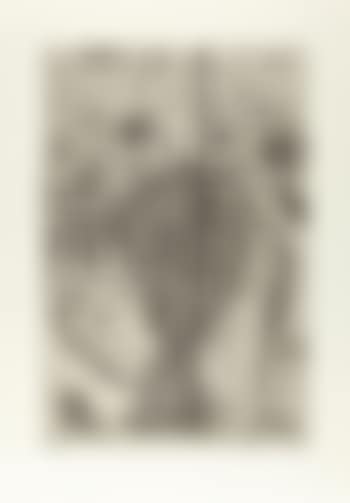 2 Bll.: Pose - Schmuckoma (preview)