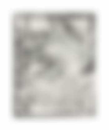 Swan Engraving II, from Swan Engravings (preview)
