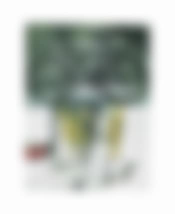 Untitled (preview)