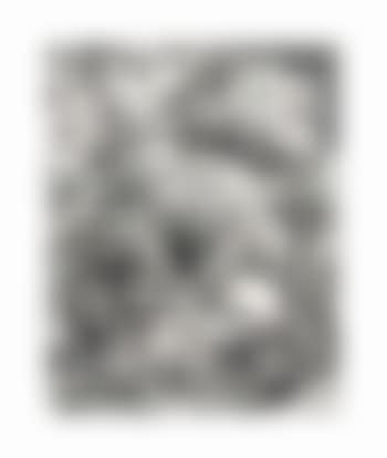 Swan Engraving IV, from Swan Engravings (preview)