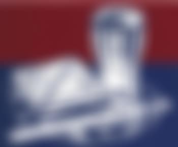 Sandwhich and Soda (preview)