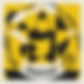 Decade: Autoportraits, Vinalhaven Suite: one print (preview)