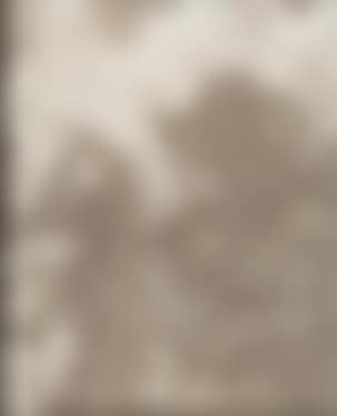 Bluttuch (preview)