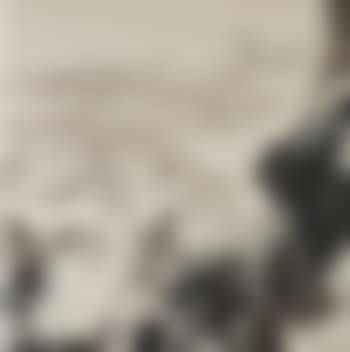 Sans titre (preview)