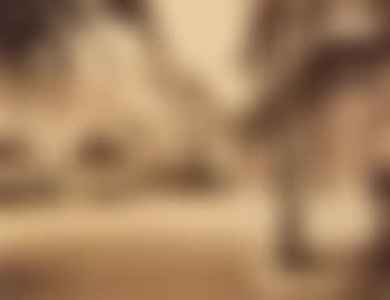 Rue du jour. Musée Carnavalet (preview)