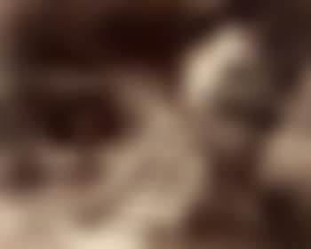 Petit trianon (Versailles) (preview)