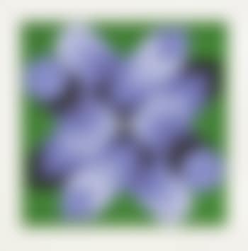 Composition cinétique en vert et violet (preview)