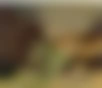 Landschaft (preview)