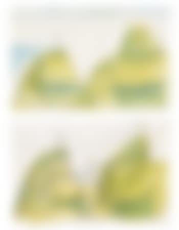 New realist (preview)