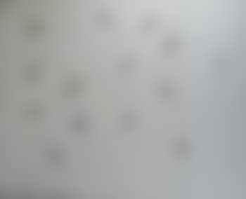 Senza Titolo (preview)