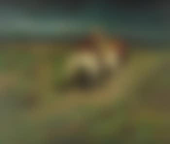 Rider (preview)