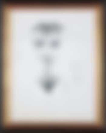 Face (preview)