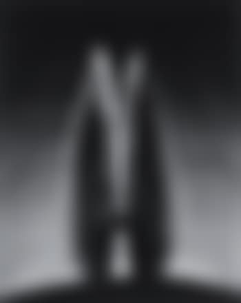 Angel wing (preview)